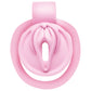 Master Series Pussification Vulva Chastity Cage