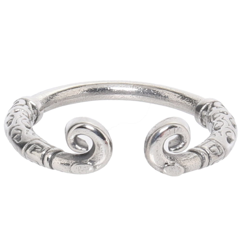 Master Series Kingpin Stainless Steel 24mm Glans Ring