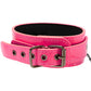 Electra Play Things Collar & Leash in Neon Pink